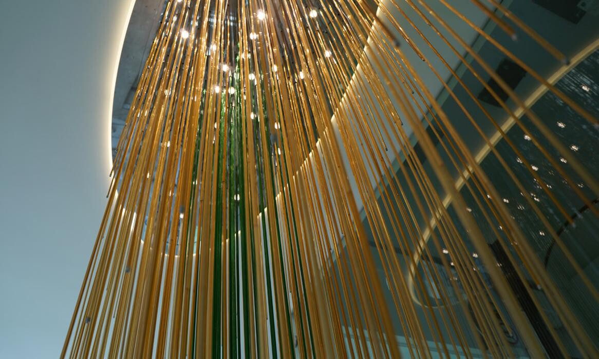 Bilder Naveen Mehling Compact Promotion