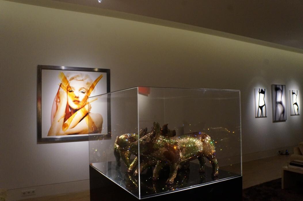 Bilder Naveen Mehling Compact Promotion