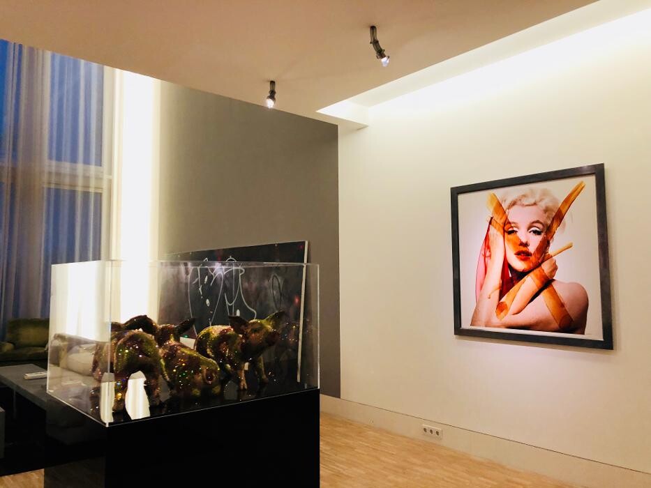 Bilder Naveen Mehling Compact Promotion