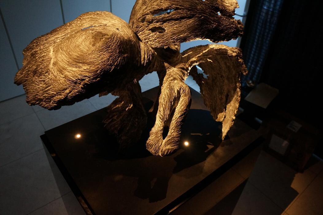 Bilder Naveen Mehling Compact Promotion