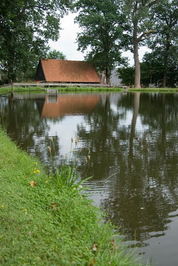 Bilder Hotel am Waldbad