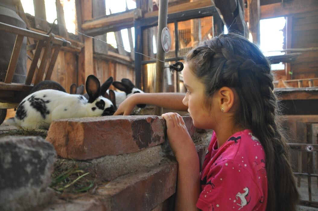 Bilder Naturschutz-Tierpark Görlitz