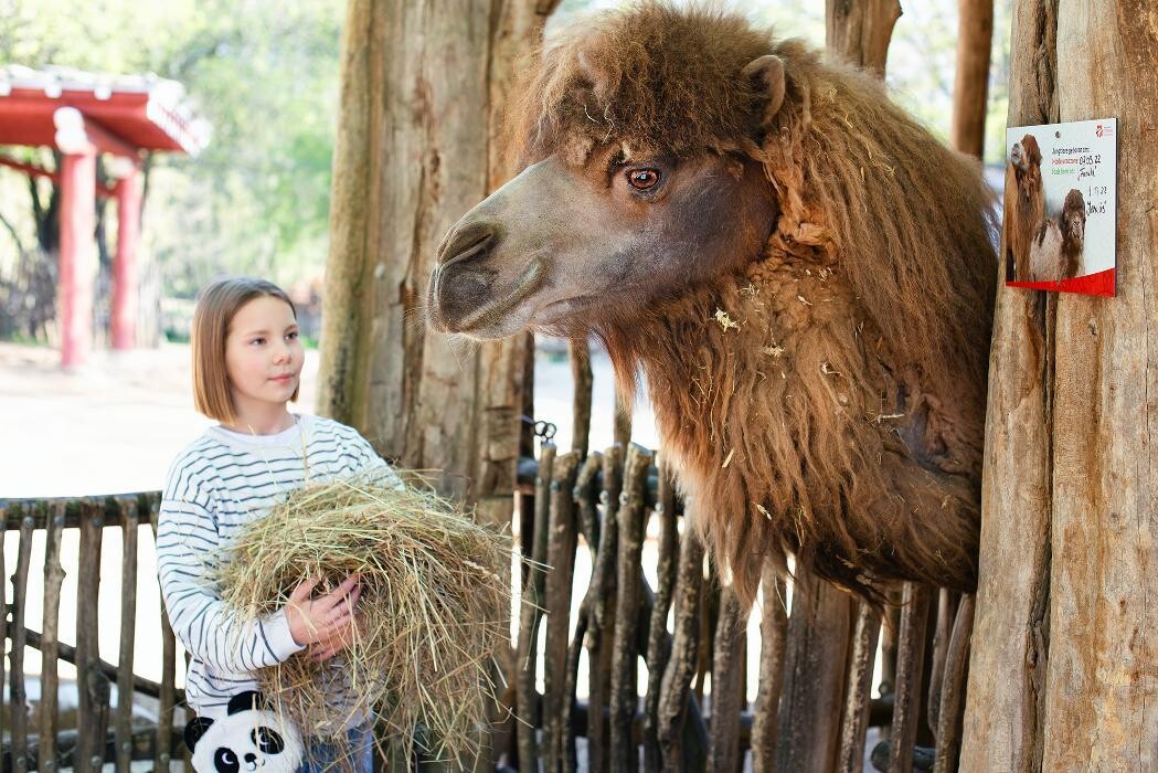 Bilder Naturschutz-Tierpark Görlitz