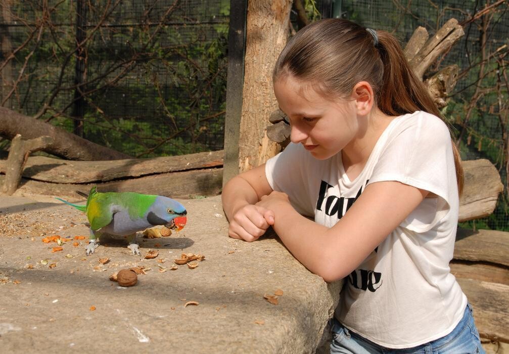 Bilder Naturschutz-Tierpark Görlitz