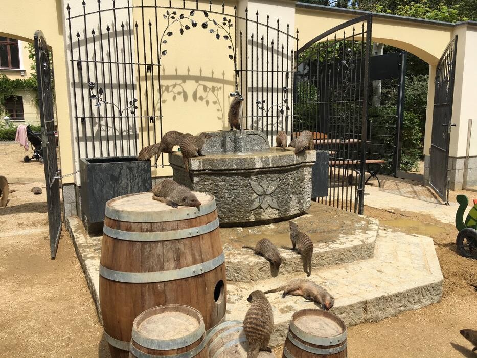 Bilder Naturschutz-Tierpark Görlitz