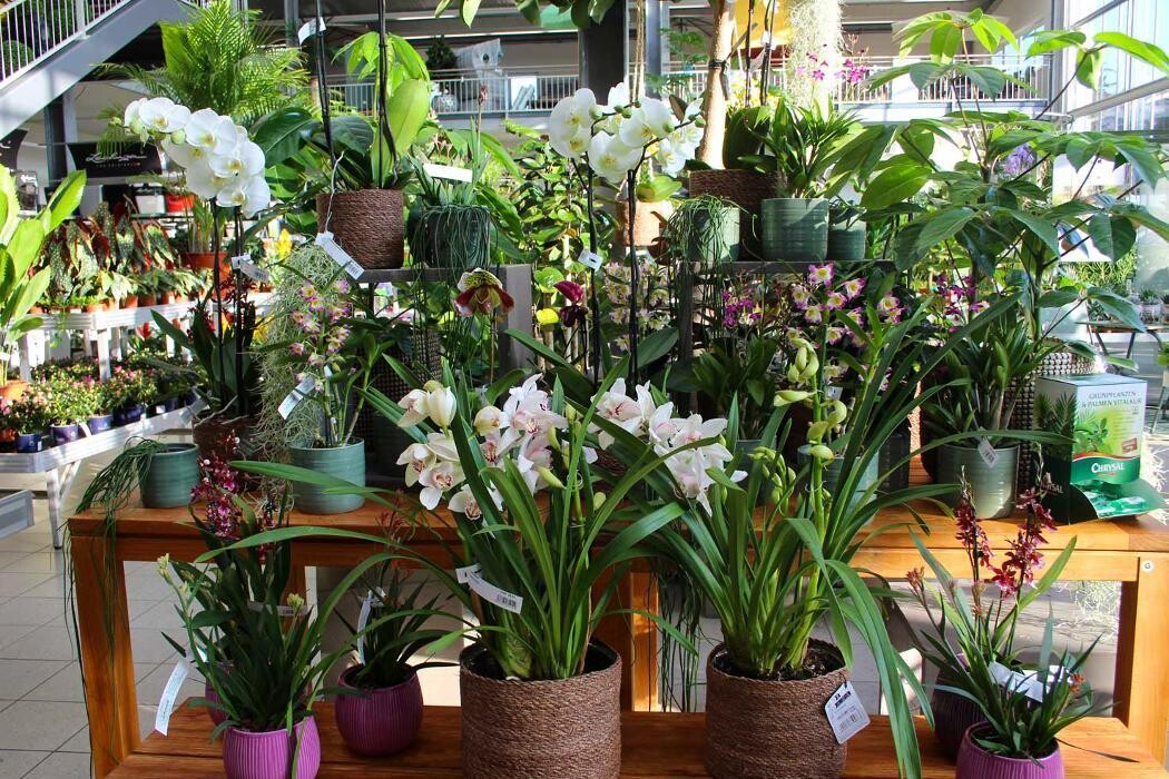 Bilder Gartencenter Schmitt