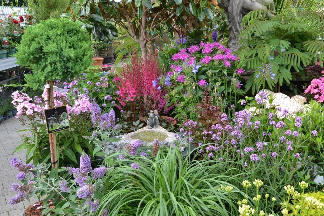 Bilder Gartencenter Schmitt
