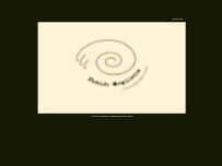Website Screenshot Der Geigenbauer Rodolfo Angiletta