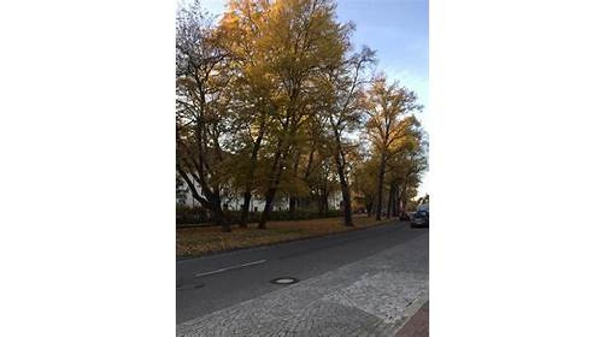 Bilder Hotel Pension im Klosterring GmbH