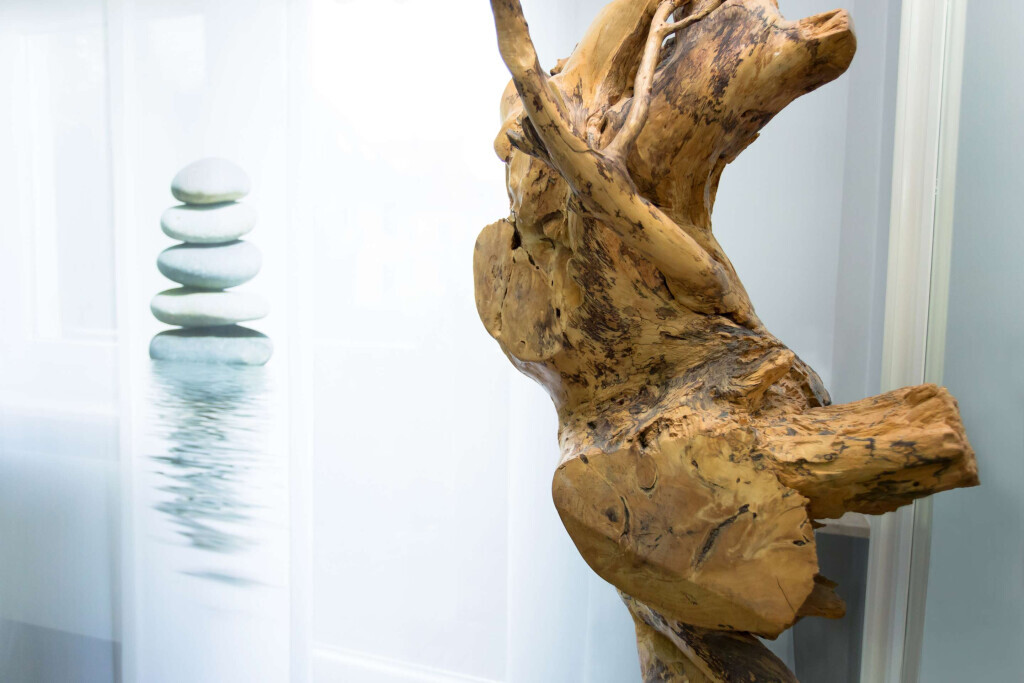 Bilder Zahnkultur Nürnberg