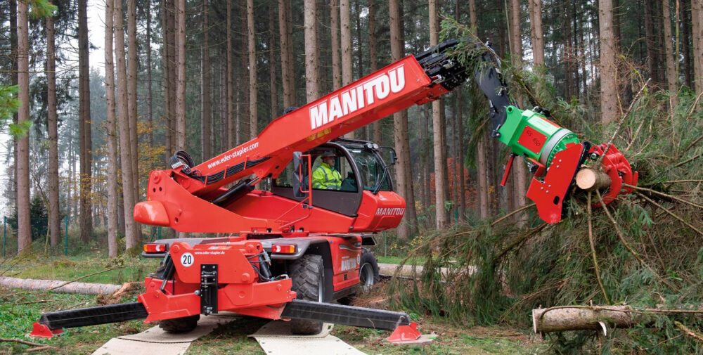 Bilder Lechner Baumfällung