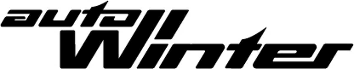 Auto Winter Mathias Loos e.K Logo