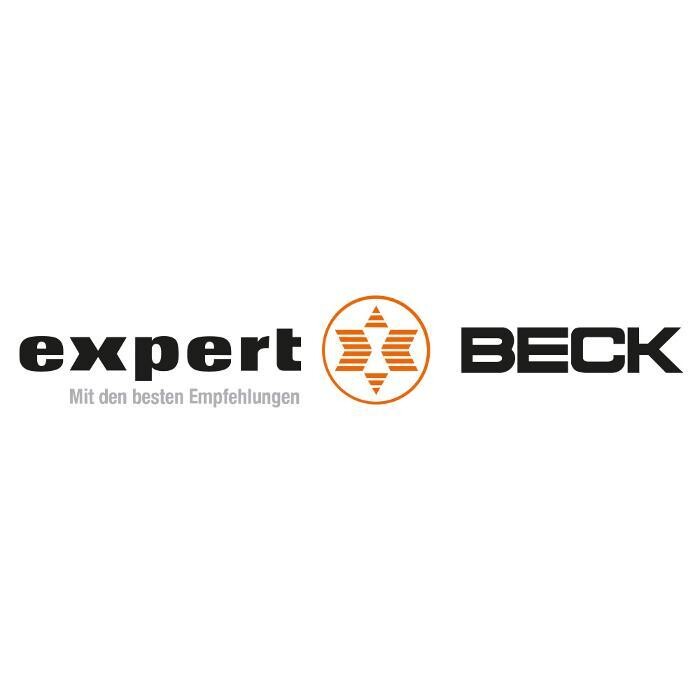 Expert Ochsenfurt Logo