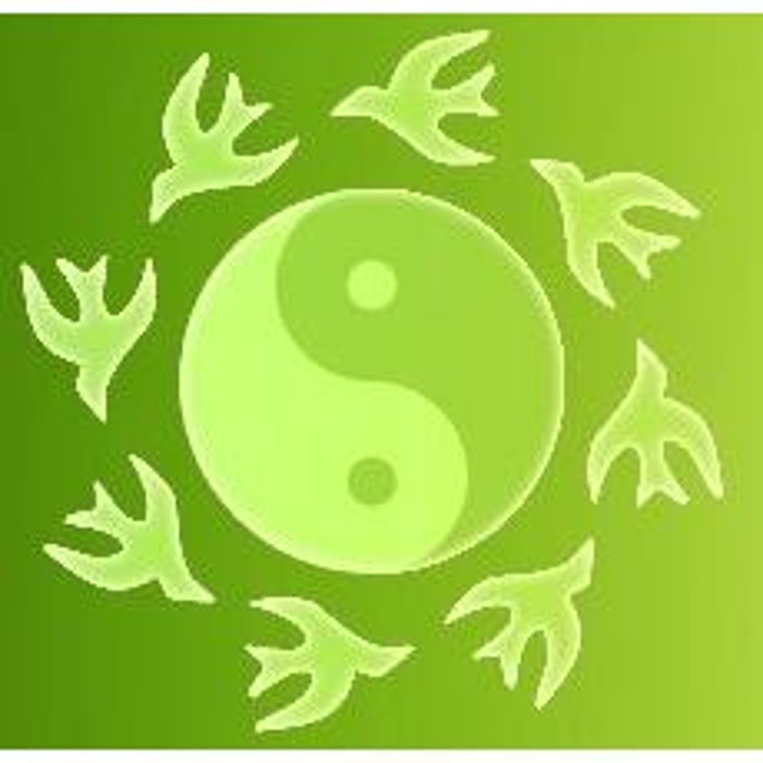 Bilder Dr.med. Barbara Bremer Fachärztin für Allgemeinmedizin und Naturheilverfahren