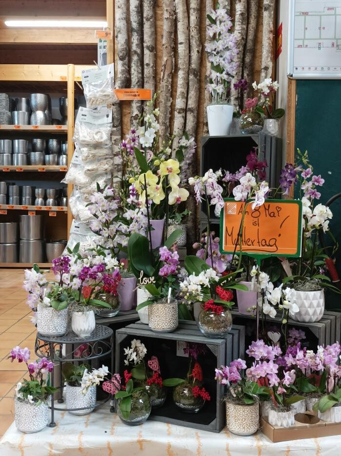 Bilder HORNBACH Ingolstadt