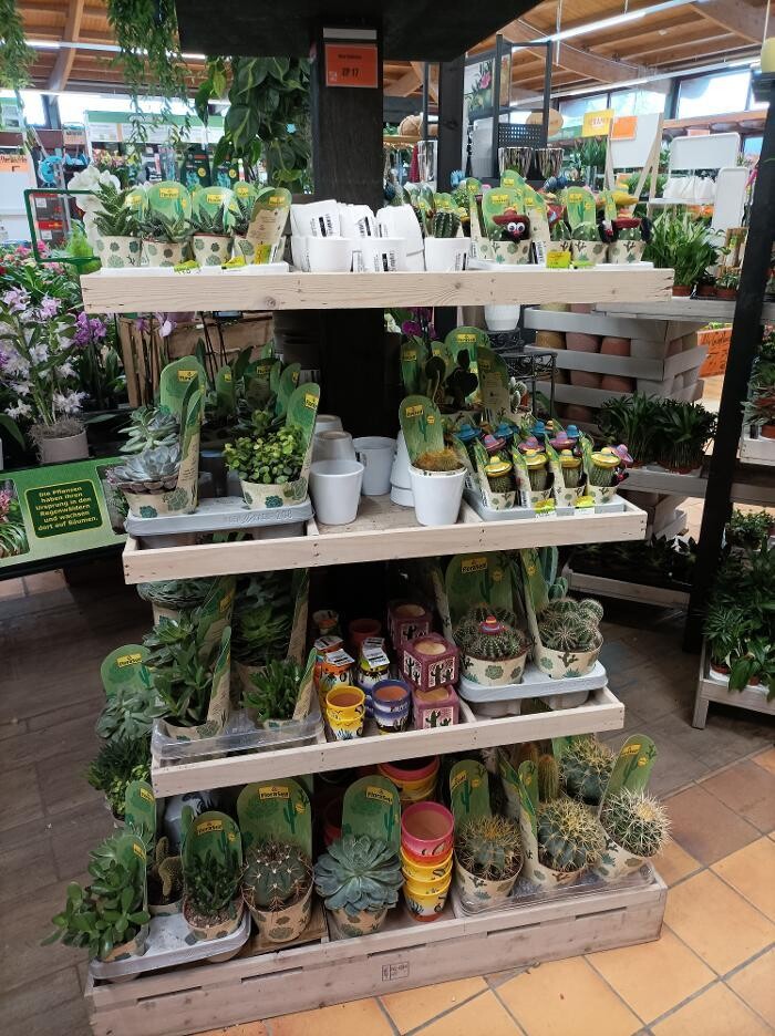 Bilder HORNBACH Ingolstadt