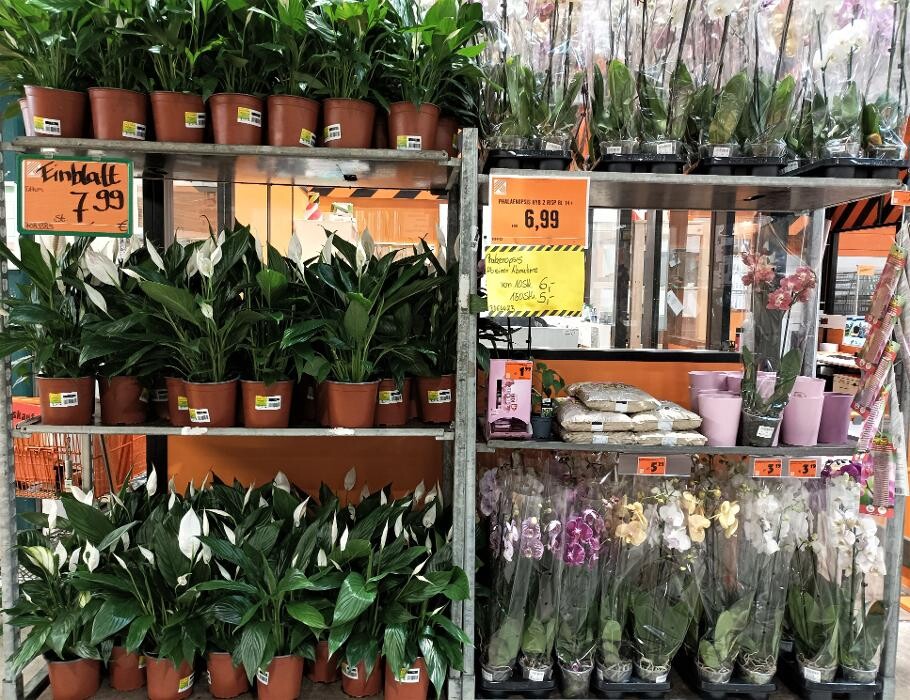 Bilder HORNBACH Ingolstadt