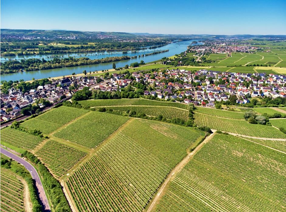 Bilder Balthasar Ress Weingut KG