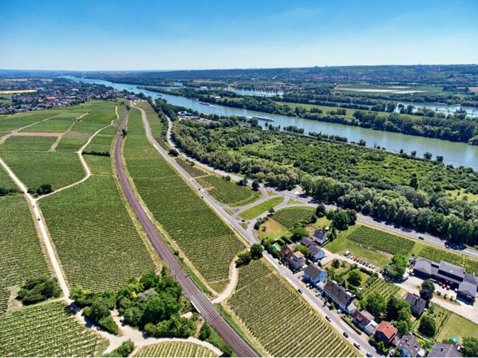 Bilder Balthasar Ress Weingut KG