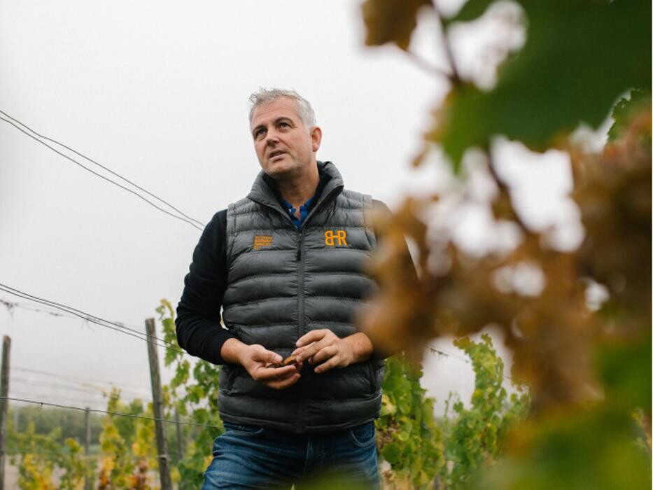 Bilder Balthasar Ress Weingut KG