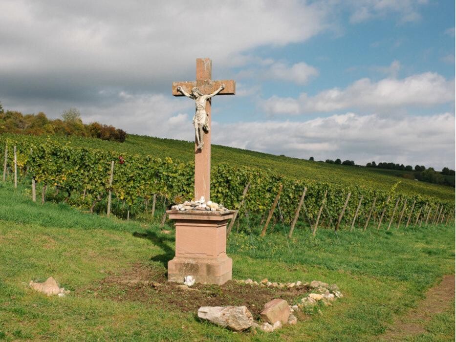 Bilder Balthasar Ress Weingut KG