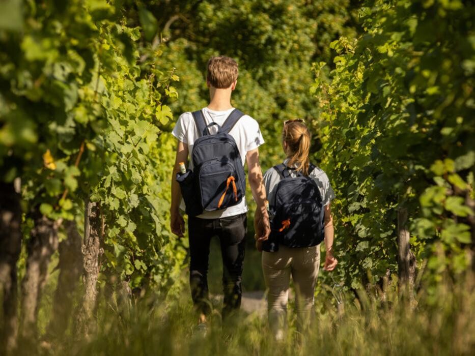 Bilder Balthasar Ress Weingut KG