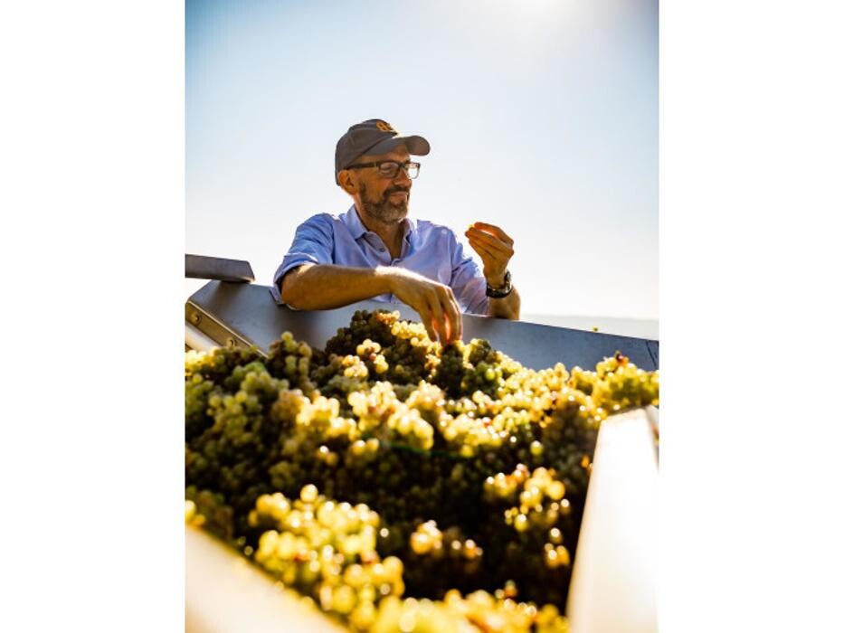 Bilder Balthasar Ress Weingut KG