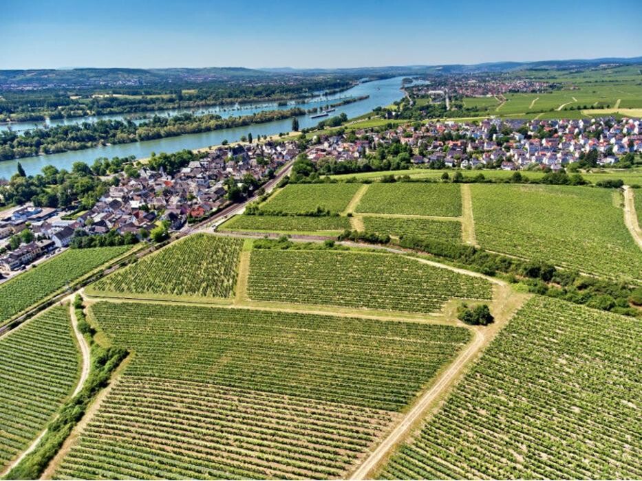 Bilder Balthasar Ress Weingut KG