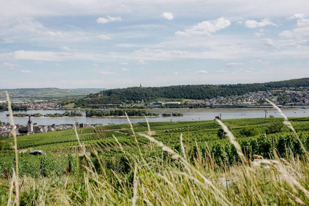 Bilder Balthasar Ress Weingut KG