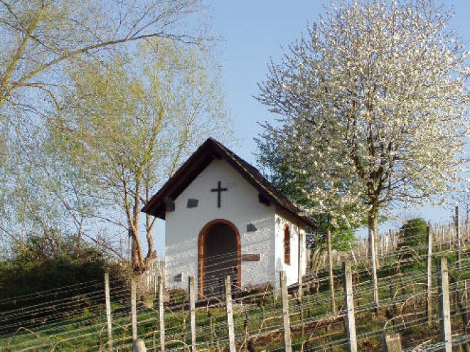 Bilder Balthasar Ress Weingut KG
