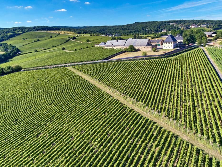 Bilder Balthasar Ress Weingut KG