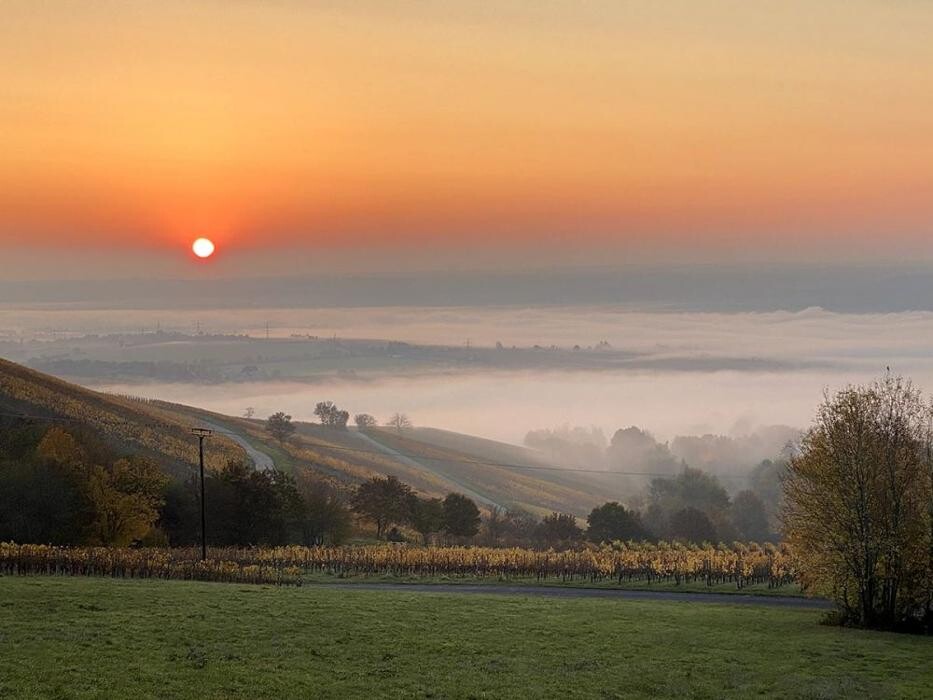 Bilder Balthasar Ress Weingut KG