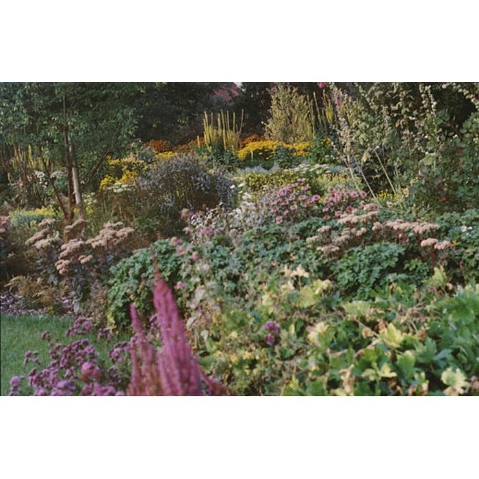 Bilder querbeet - Andreas Böhm