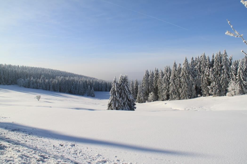 Bilder Tourist-Information Hahnenklee