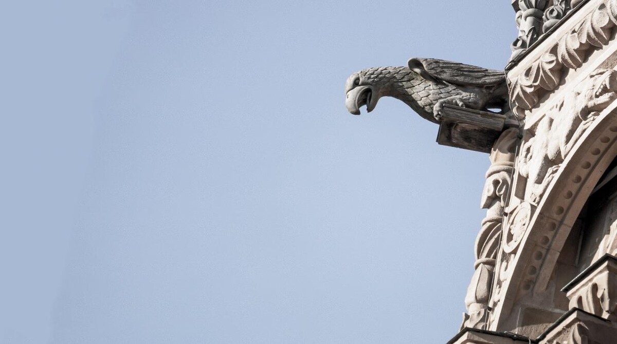 Bilder DAHLER Heilbronn