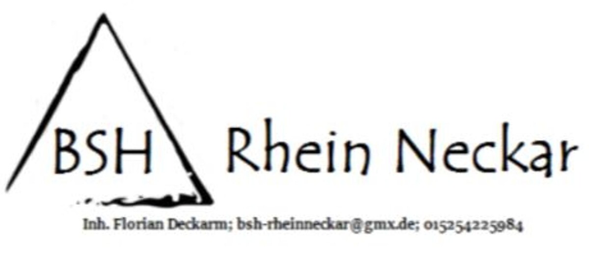 BSH Rhein Neckar Logo
