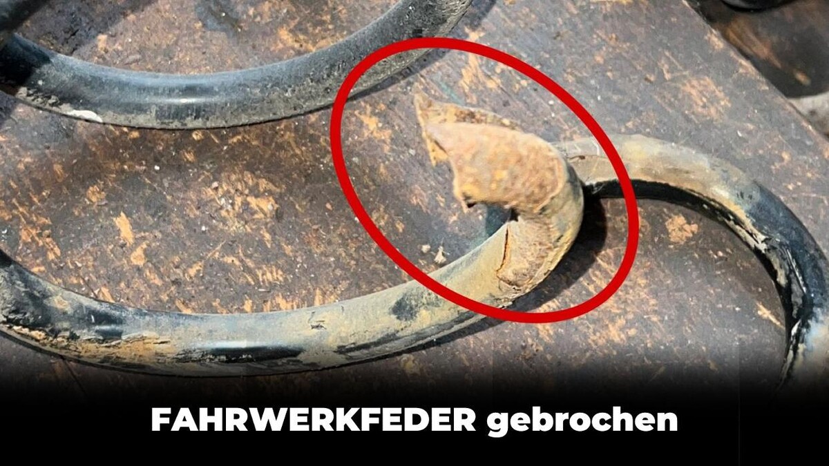 Bilder EUROMASTER Kamen PKW
