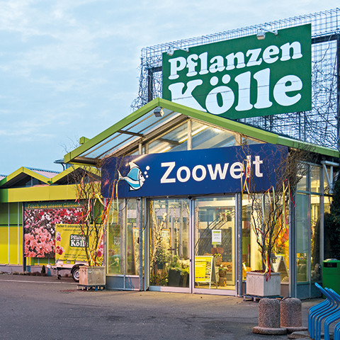 Bilder Pflanzen-Kölle Gartencenter GmbH & Co. KG Berlin - Dallgow-Döberitz