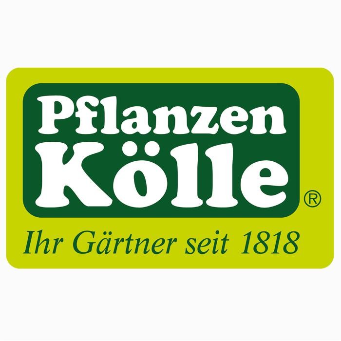 Bilder Pflanzen-Kölle Gartencenter GmbH & Co. KG Berlin - Dallgow-Döberitz