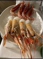 Bilder Marco Polo RISTORANTE