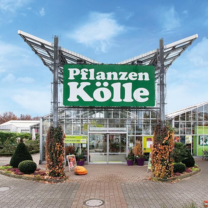 Bilder Pflanzen-Kölle Gartencenter GmbH & Co. KG Fellbach