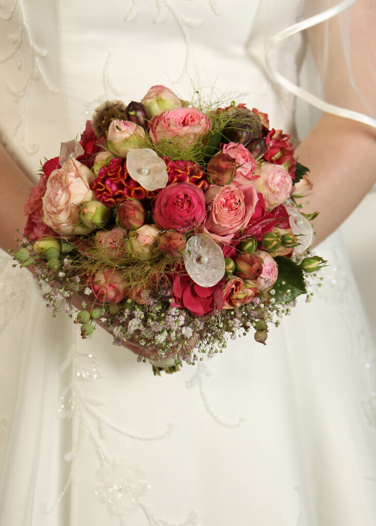 Bilder Fotostudio Kaup