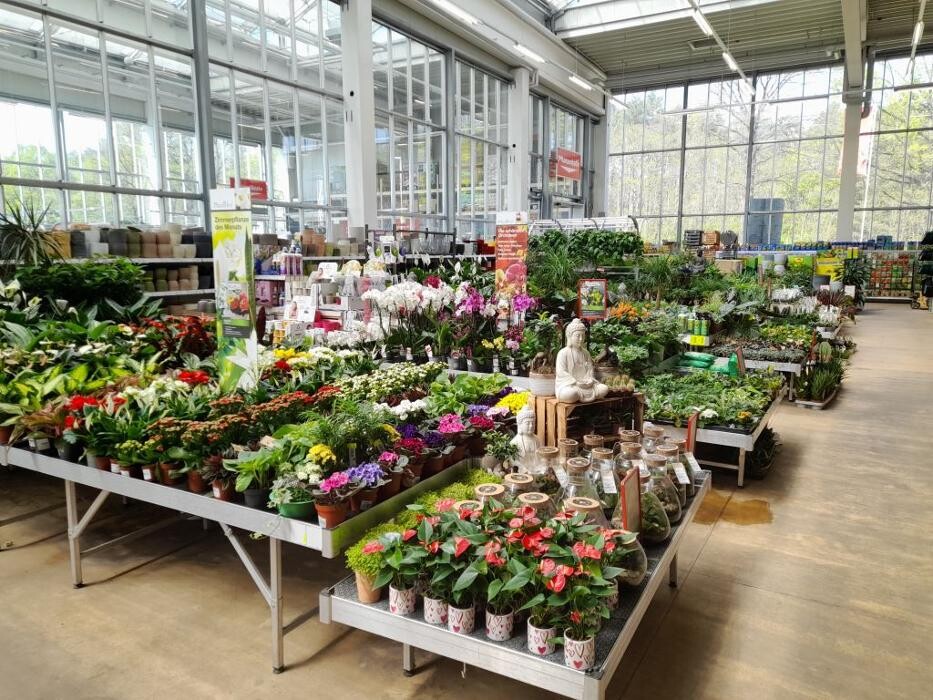 Bilder HELLWEG - Die Profi-Baumärkte Deulowitz