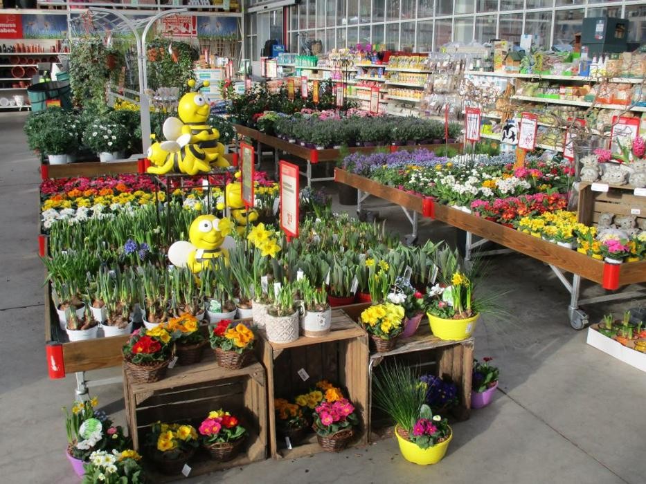 Bilder HELLWEG - Die Profi-Baumärkte Deulowitz