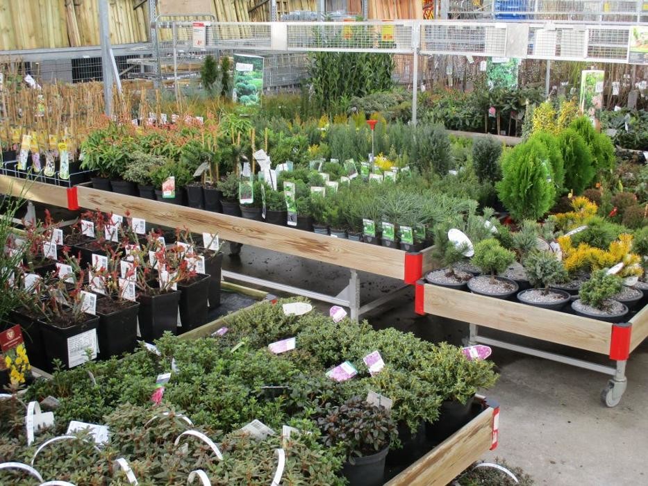 Bilder HELLWEG - Die Profi-Baumärkte Deulowitz