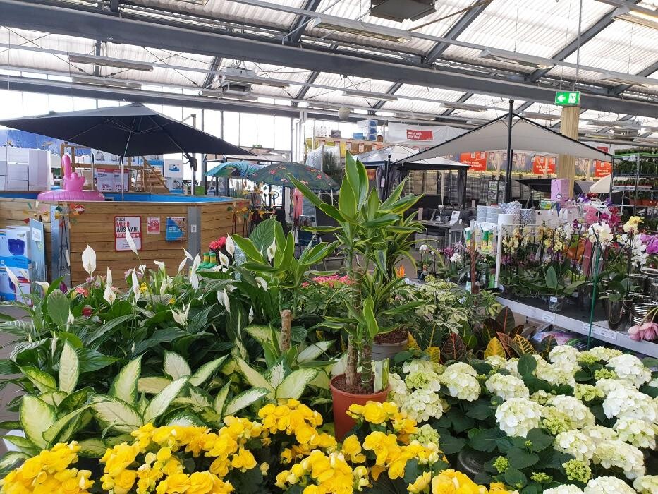 Bilder HELLWEG - Die Profi-Baumärkte Brandenburg