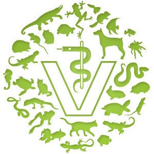 Tierarztpraxis Marc-Niklas Klingberg Logo