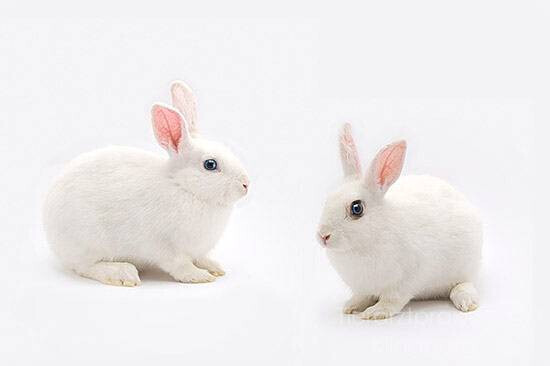 Bilder Tierarztpraxis Marc-Niklas Klingberg