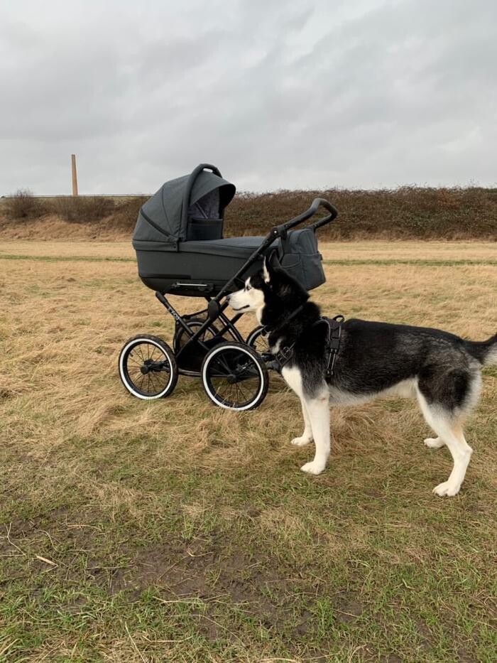 Bilder Kinderwagen Babymar - FEDER Kinderwagen
