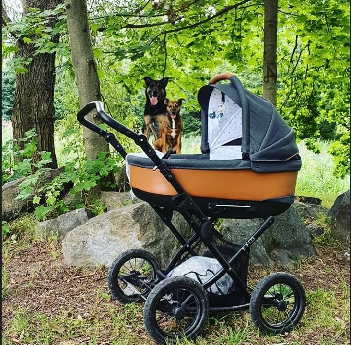 Bilder Kinderwagen Babymar - FEDER Kinderwagen